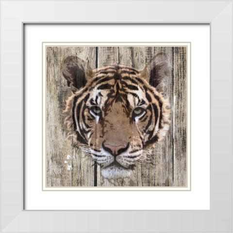 Wildheads Tiger White Modern Wood Framed Art Print with Double Matting by Smith, Karen
