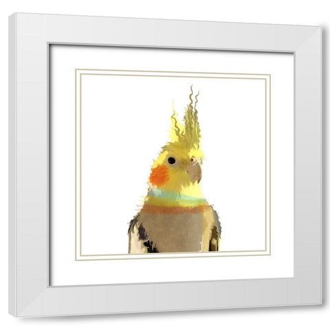 Cockatiel White Modern Wood Framed Art Print with Double Matting by Smith, Karen