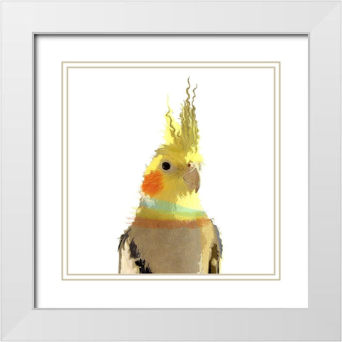 Cockatiel White Modern Wood Framed Art Print with Double Matting by Smith, Karen