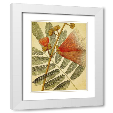 Botanical Grunge I White Modern Wood Framed Art Print with Double Matting by Hunziker, Steve