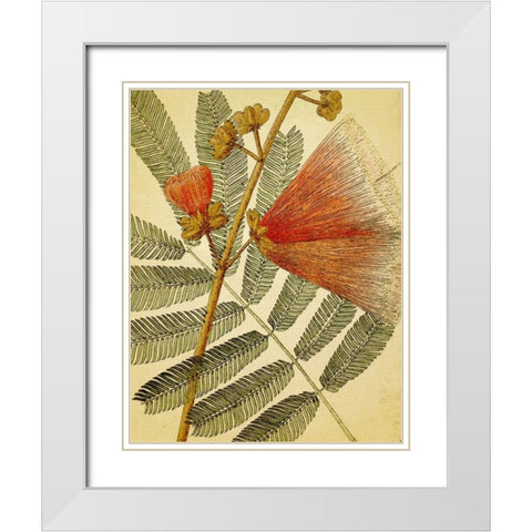 Botanical Grunge I White Modern Wood Framed Art Print with Double Matting by Hunziker, Steve