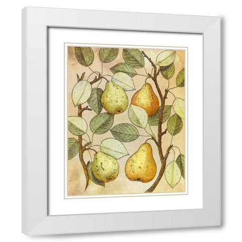 Botanical Grunge II White Modern Wood Framed Art Print with Double Matting by Hunziker, Steve