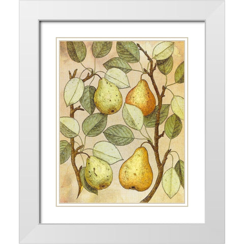 Botanical Grunge II White Modern Wood Framed Art Print with Double Matting by Hunziker, Steve