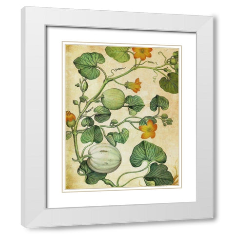 Botanical Grunge III  White Modern Wood Framed Art Print with Double Matting by Hunziker, Steve