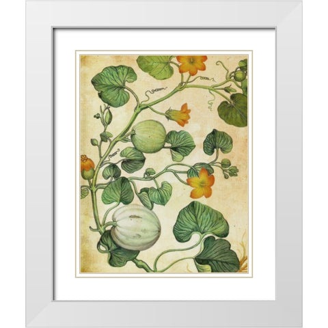 Botanical Grunge III  White Modern Wood Framed Art Print with Double Matting by Hunziker, Steve