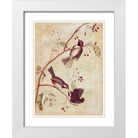 Classic Avion I White Modern Wood Framed Art Print with Double Matting by Hunziker, Steve