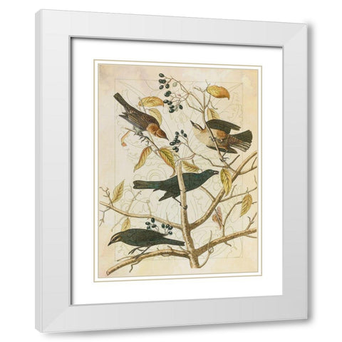 Classic Avion III White Modern Wood Framed Art Print with Double Matting by Hunziker, Steve