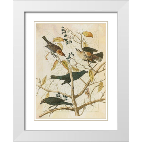 Classic Avion III White Modern Wood Framed Art Print with Double Matting by Hunziker, Steve