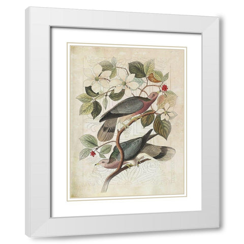 Classic Avion VI White Modern Wood Framed Art Print with Double Matting by Hunziker, Steve