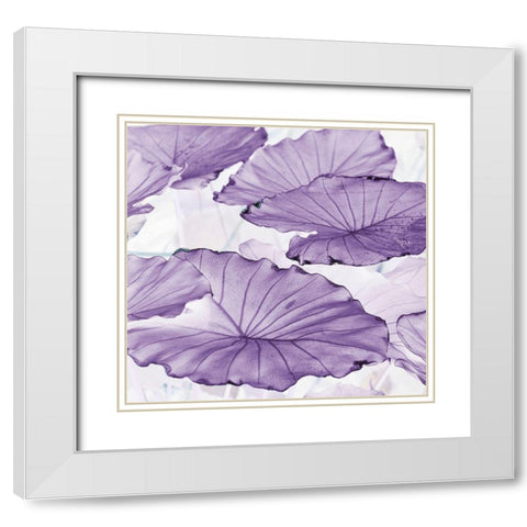 Botanicals White Modern Wood Framed Art Print with Double Matting by Surma, Agata