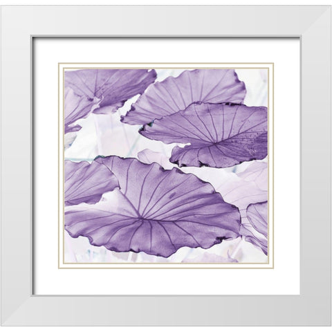 Botanicals White Modern Wood Framed Art Print with Double Matting by Surma, Agata