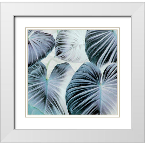 Botanic Blues White Modern Wood Framed Art Print with Double Matting by Surma, Agata
