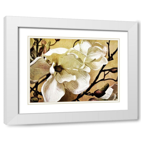 Majestic Magnolia White Modern Wood Framed Art Print with Double Matting by Aldridge, Ashley