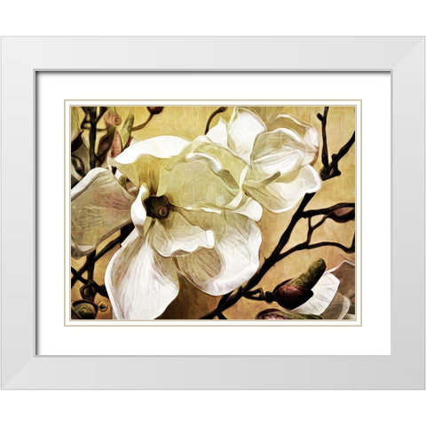 Majestic Magnolia White Modern Wood Framed Art Print with Double Matting by Aldridge, Ashley