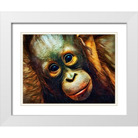 Baby Orangutan Observation White Modern Wood Framed Art Print with Double Matting by Aldridge, Ashley