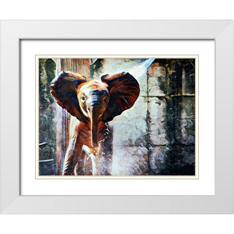 Baby African Elephant Hose Down White Modern Wood Framed Art Print with Double Matting by Aldridge, Ashley