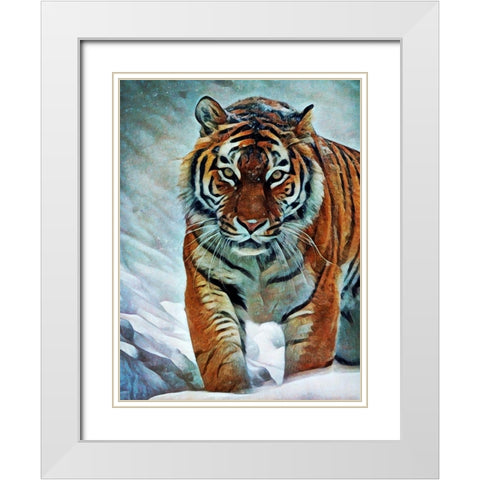 Siberian Tiger Stalking  White Modern Wood Framed Art Print with Double Matting by Aldridge, Ashley