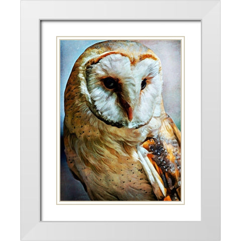 Barn Owl Heart Faced Hunter White Modern Wood Framed Art Print with Double Matting by Aldridge, Ashley