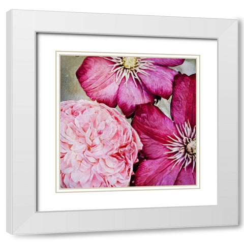 Pretty Pink Petals White Modern Wood Framed Art Print with Double Matting by Aldridge, Ashley