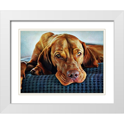 Hungarian Vizsla Time for Bed White Modern Wood Framed Art Print with Double Matting by Aldridge, Ashley