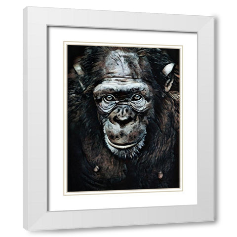 Chimpanzee Contemplation White Modern Wood Framed Art Print with Double Matting by Aldridge, Ashley