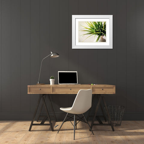 White Potted Plant White Modern Wood Framed Art Print with Double Matting by Aldridge, Ashley