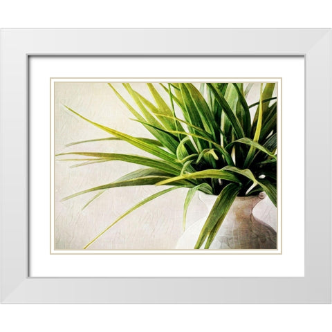 White Potted Plant White Modern Wood Framed Art Print with Double Matting by Aldridge, Ashley