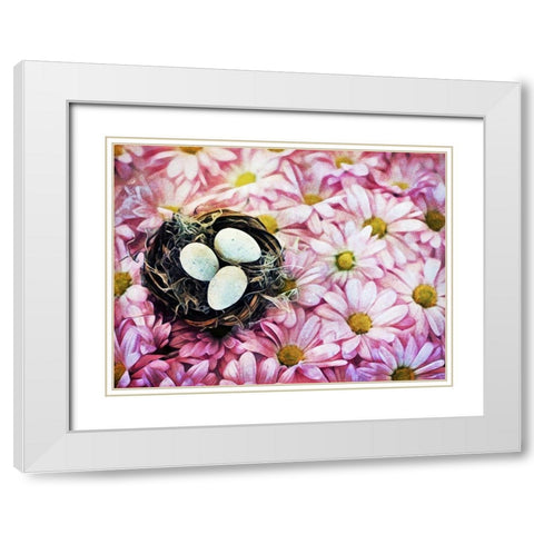 Nested On Daisies White Modern Wood Framed Art Print with Double Matting by Aldridge, Ashley