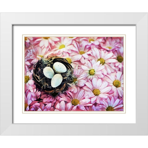 Nested On Daisies White Modern Wood Framed Art Print with Double Matting by Aldridge, Ashley