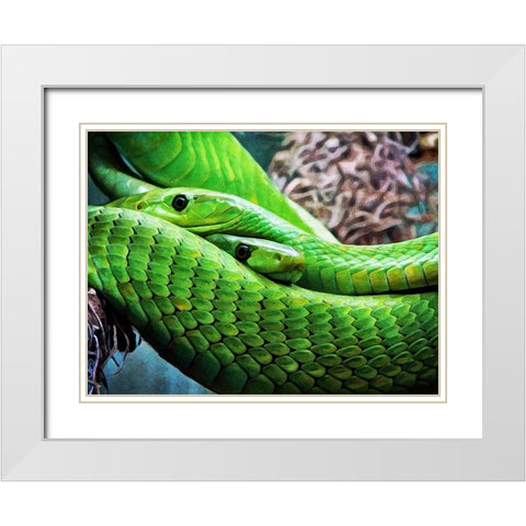 Green Mamba Makes Two White Modern Wood Framed Art Print with Double Matting by Aldridge, Ashley