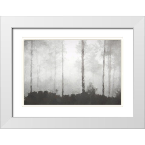 Barren White Modern Wood Framed Art Print with Double Matting by Curinga, Kim