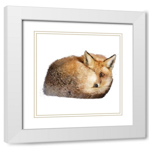 Sleeping Fox White Modern Wood Framed Art Print with Double Matting by Curinga, Kim