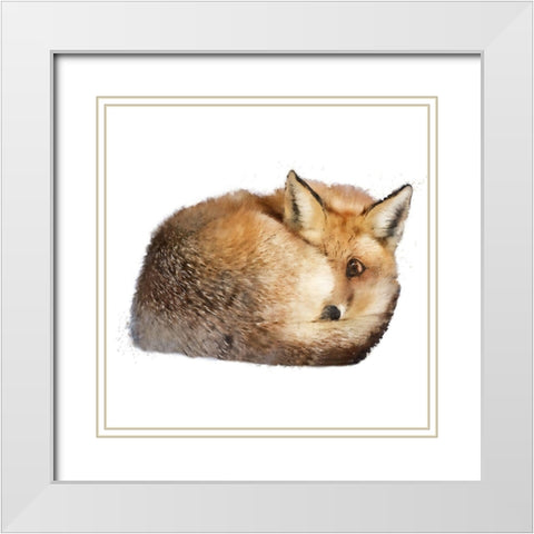 Sleeping Fox White Modern Wood Framed Art Print with Double Matting by Curinga, Kim