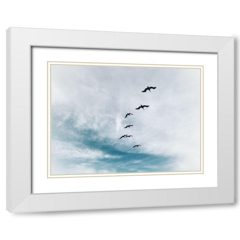 Beach Birds Flying White Modern Wood Framed Art Print with Double Matting by Curinga, Kim