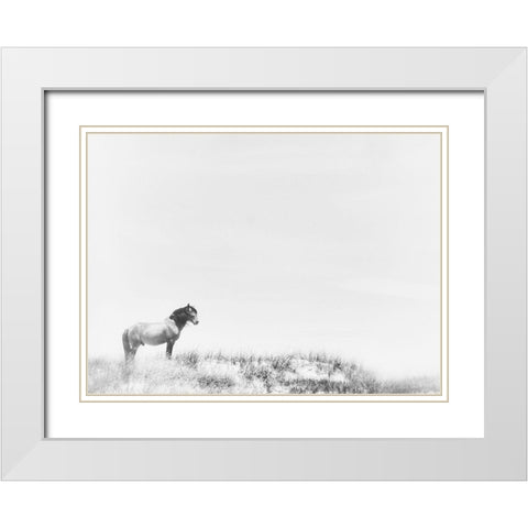 Lone Beach Horse White Modern Wood Framed Art Print with Double Matting by Curinga, Kim
