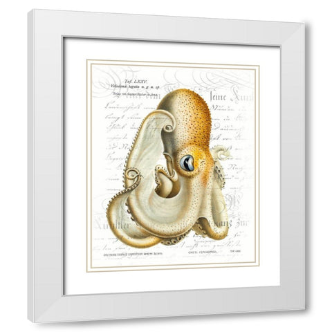 Octopus I White Modern Wood Framed Art Print with Double Matting by Hunziker, Steve