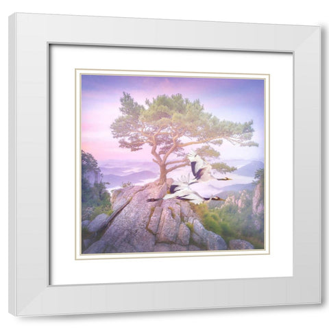 Mountain Crane III White Modern Wood Framed Art Print with Double Matting by Hunziker, Steve