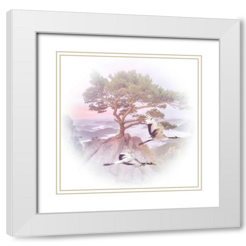 Mountain Crane IV White Modern Wood Framed Art Print with Double Matting by Hunziker, Steve