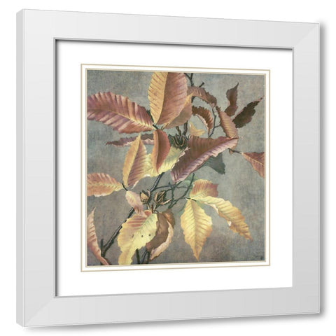 Ancient Autumn I White Modern Wood Framed Art Print with Double Matting by Hunziker, Steve