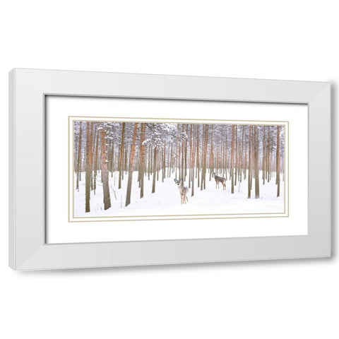 Wintry Partners White Modern Wood Framed Art Print with Double Matting by Hunziker, Steve