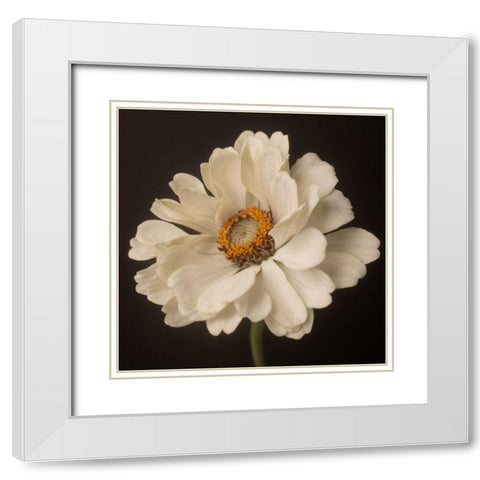 White Floral Portrait White Modern Wood Framed Art Print with Double Matting by Maclean, Leah