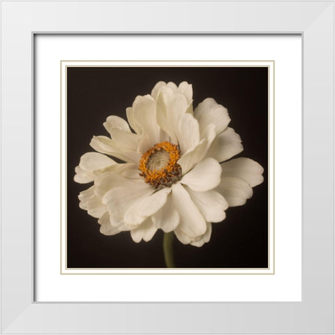 White Floral Portrait White Modern Wood Framed Art Print with Double Matting by Maclean, Leah