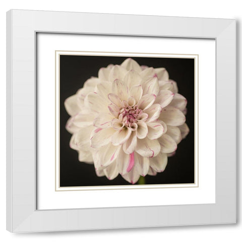 Lilac Speckles White Modern Wood Framed Art Print with Double Matting by Maclean, Leah