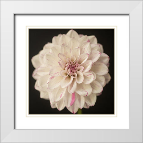 Lilac Speckles White Modern Wood Framed Art Print with Double Matting by Maclean, Leah