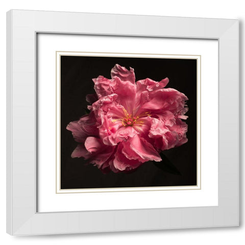 Ruffled Perfection White Modern Wood Framed Art Print with Double Matting by Maclean, Leah