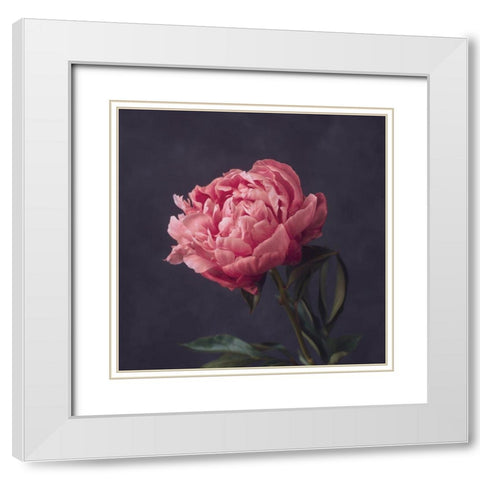 Perfectly Pink White Modern Wood Framed Art Print with Double Matting by Maclean, Leah