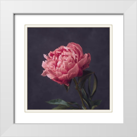 Perfectly Pink White Modern Wood Framed Art Print with Double Matting by Maclean, Leah
