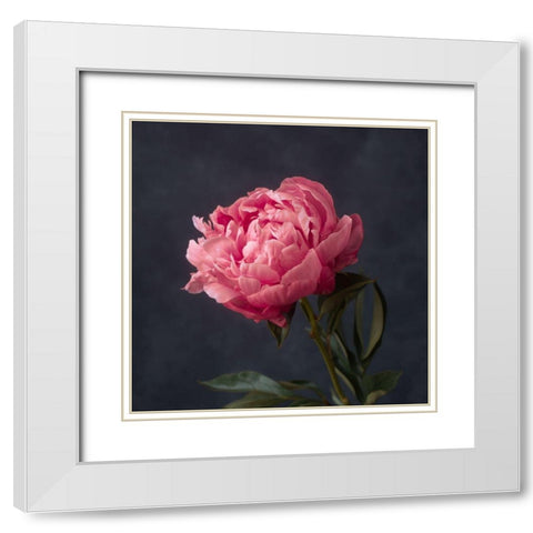 Perfectly Pink White Modern Wood Framed Art Print with Double Matting by Maclean, Leah