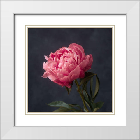 Perfectly Pink White Modern Wood Framed Art Print with Double Matting by Maclean, Leah