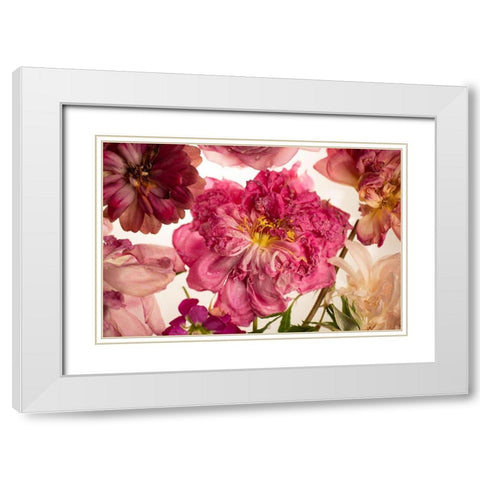 Peony on White White Modern Wood Framed Art Print with Double Matting by Maclean, Leah